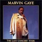 MARVIN GAYE / マーヴィン・ゲイ / LAST CONCERT TOUR / ラスト・コンサート・ツアー(国内盤 帯付 解説付)