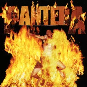 PANTERA - REINVENTING THE STEEL 激鉄 レコード REINVENTING THE STEEL / 激鉄/PANTERA/パンテラ｜HARDROCK