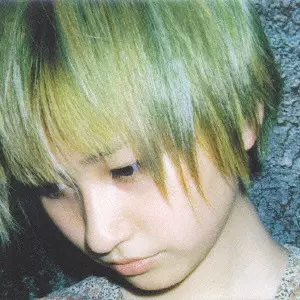 DREAM DOLPHIN / ドリーム・ドルフィン商品一覧｜OLD ROCK