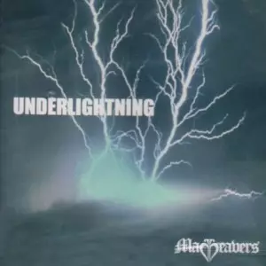 MADBEAVERS マッドビーバーズ DVD MADBEAVERS（マッドビーバーズ