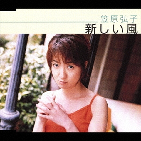 HIROKO KASAHARA / 笠原弘子商品一覧｜PUNK｜ディスクユニオン