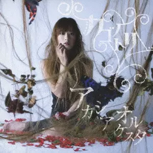アカシアオルケスタ独壇場 「ヒョウリイッタイ宴奏会」 [DVD] rdzdsi3 discography｜アカシアオルケスタ Official Website