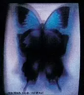 YEN TOWN BAND / MONTAGE / MONTAGE