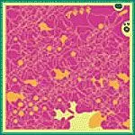 DJ光光光 / PLANETARY NATURAL LOVE GUS WEBBIN' 1999999