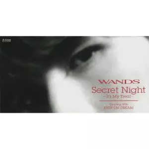 Secret Night/WANDS｜平成J-POP｜ディスクユニオン・オンライン
