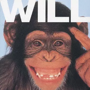 ピールアウト / WILL / WILL
