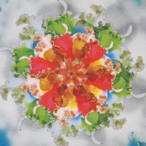 福岡ユタカ / REMINISCENCE TOKYO - MARRAKECH - IWAMI - PHNON PENH / reminiscence