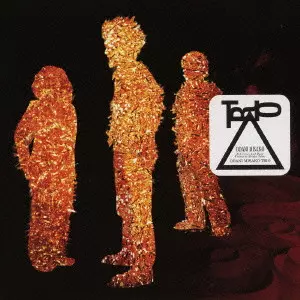 MISAKO ODANI / 小谷美紗子商品一覧｜ディスクユニオン・オンライン