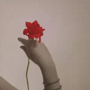 MIKA OKUDOI / 奥土居美可商品一覧｜JAZZ｜ディスクユニオン