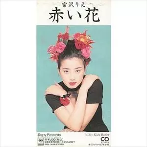 赤い花、赤い葉のワックスベゴニア（繊維状ベゴニア） - Begonia