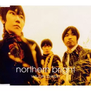 NORTHERN BRIGHT / ノーザンブライト / WILDFLOWER / WILDFLOWER