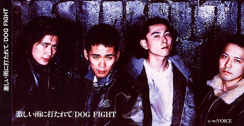 DOG FIGHT / ドッグファイト / 激しい雨に打たれて