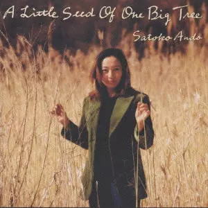 A Little Seed Of One Big Tree 安藤さと子 CD A Little Seed Of One Big Tree/安藤さと子｜日本のロック