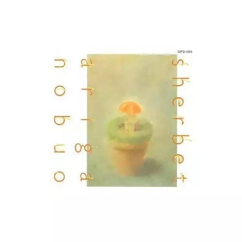 NOBUO ARIGA / 有賀啓雄 / SHERBET