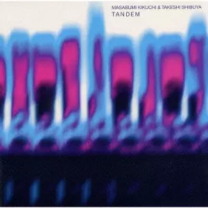 MASABUMI KIKUCHI & TAKESHI SHIBUYA / 菊地雅章&渋谷毅 / TANDEM / タンデム