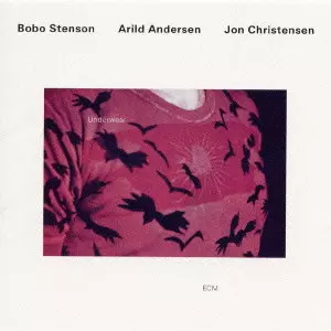 BOBO STENSON / ボボ・ステンソン / UNDERWEAR / アンダーウェアー