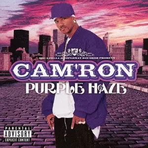 Rocktron Purple Haze パープルヘイズ オクターバー ファズ PURPLE HAZE / パープル・ヘイズ/キャムロン｜HIPHOP/R&B｜ディスク