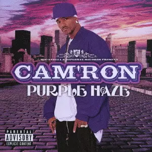 PURPLE HAZE / パープル・ヘイズ/キャムロン｜HIPHOP/R&B｜ディスク