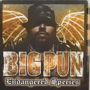 ビッグ パン商品一覧 Hiphop 日本語rap ディスクユニオン オンラインショップ Diskunion Net