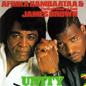 アフリカ・バンバータ レコード コレクション18枚 アフリカ・バンバータ&ジェイムス・ブラウン/ユニティ/AFRIKA