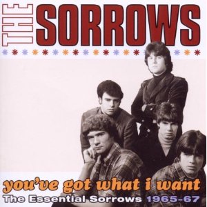 SORROWS / ソロウズ / YOU'VE GOT WHAT I WANT-THE ESSENTIAL SORROWS 1965-