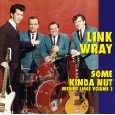 LINK WRAY / リンク・レイ / VOL. 3-MISSING LINKS SOME KIND
