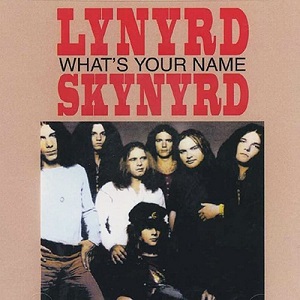 LYNYRD SKYNYRD / レーナード・スキナード / WHAT'S YOUR NAME