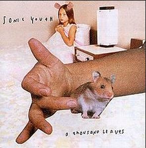 SONIC YOUTH / ソニック・ユース / THOUSAND LEAVES (2LP)