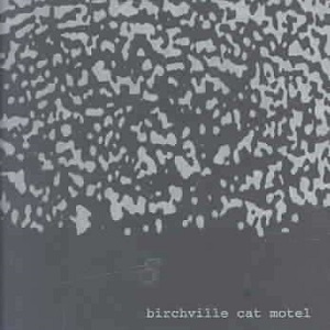 BIRCHVILLE CAT MOTEL / SIBERIAN EARTH CURVE