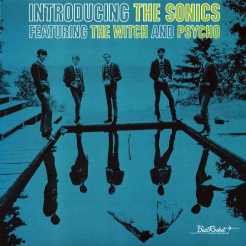 SONICS / ソニックス / INTRODUCING THE SONICS (180G LP)