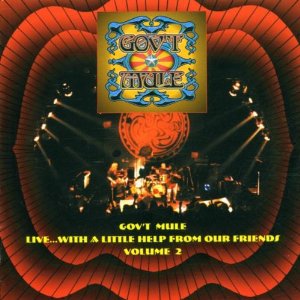 GOV'T MULE / ガヴァメント・ミュール / VOL. 2-LIVE WITH A LITTLE HELP FROM OUR FRIENDS