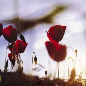 L'ALTRA / ラルトラ / IN THE AFTERNOON