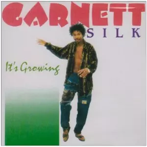 GARNETT SILK / ガーネット・シルク / IT'S GROWING