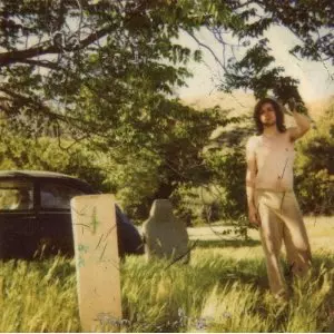 ARIEL PINK'S HAUNTED GRAFFITI / アリエル・ピンクス・ホーンテッド・グラフィティ / DOLDRUMS