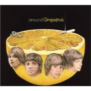 GRAPEFRUIT / グレープフルーツ / AROUND