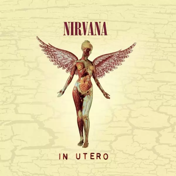 NIRVANA / ニルヴァーナ / IN UTERO (LP/180G)