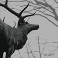 AGALLOCH / アガロク / THE MANTLE