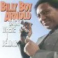 BILLY BOY ARNOLD / ビリー・ボーイ・アーノルド / BACK WHERE I BELONG