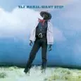 TAJ MAHAL / タジ・マハール / GIANT STEP/DE OLE FOLKS AT HOM