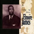 ELMORE JAMES / エルモア・ジェイムス / SKY IS CRYING-HISTORY OF ELMORE JAMES 