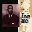SKY IS CRYING-HISTORY OF ELMORE JAMES /ELMORE JAMES/エルモア