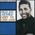 BILLY BOY ARNOLD / ビリー・ボーイ・アーノルド / GOING TO CHICAGO