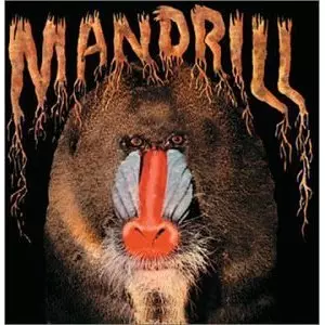 MANDRILL/MANDRILL/マンドリル｜SOUL/BLUES/GOSPEL｜ディスクユニオン