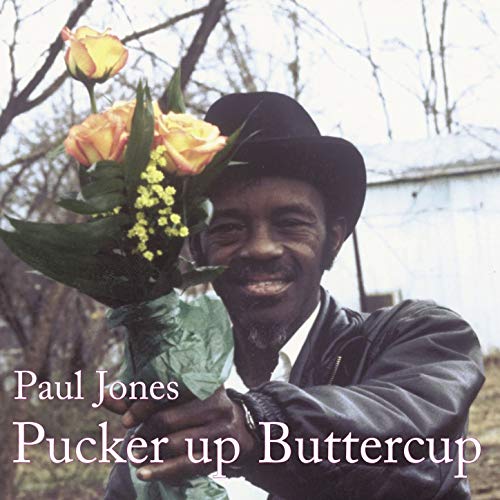 PAUL JONES / ポール・ジョーンズ / PUCKER UP BUTTERCUP(LP)