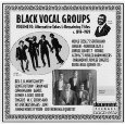 V.A.(BLACK VOCAL GROUPS) / BLACK VOCAL GROUPS: ALTERNATIVE TAKES & REMAINING TITLES 1919-1929 :VOL.10