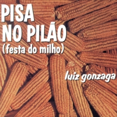 LUIZ GONZAGA / ルイス・ゴンザーガ / PISA NO PILAO