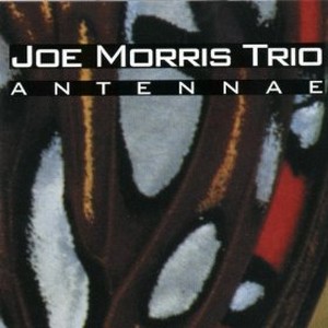 JOE MORRIS / ジョー・モリス / Antennae