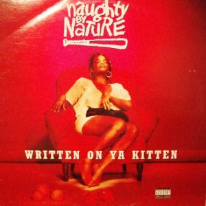 WRITTEN ON YA KITTEN/NAUGHTY BY NATURE/ノーティ・バイ・ネイチャー ｜HIPHOP/R&B｜ディスクユニオン・オンラインショップ｜diskunion.net