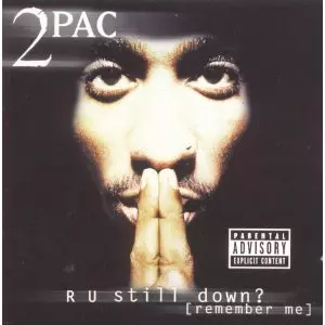 2PAC R U still down? [remember me]レコード R U STILL DOWN? (REMEMBER ME?)/2PAC/トゥーパック｜HIPHOP/R&B