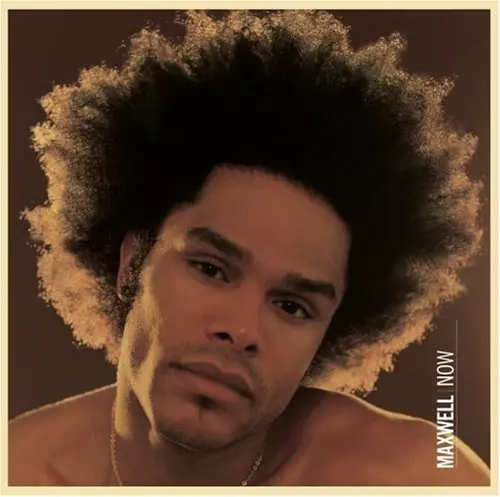 MAXWELL「NOW」：LPレコード NOW (2LP)/MAXWELL/マックスウェル｜HIPHOP/R&B｜ディスク